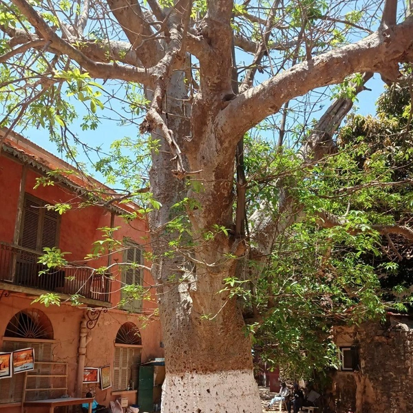 Источник: Николай Михалев