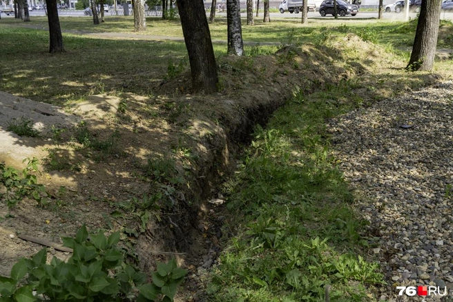 Будьте осторожны, в парке вырыта канава | Источник: Кирилл Поверинов / 76.RU