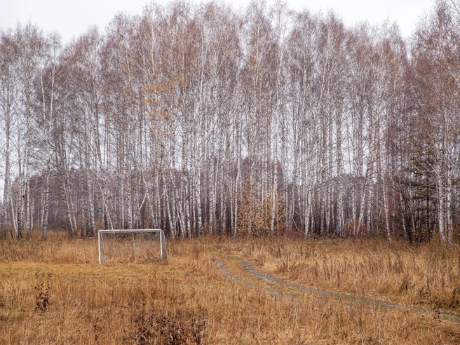 Территория радиоцентра в Верх-Тулинском сельсовете предлагается для освоения застройщиками | Источник: Александр Ощепков / NGS.RU