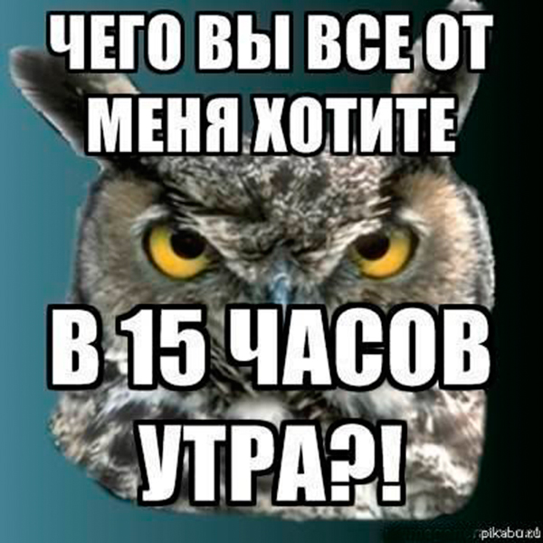 70 мемов об Ульяновске: узнаешь свой город?