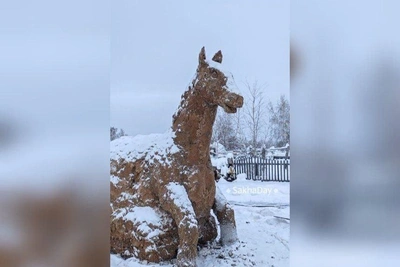 A Yakut man molded the symbol of 2026 from cow dung