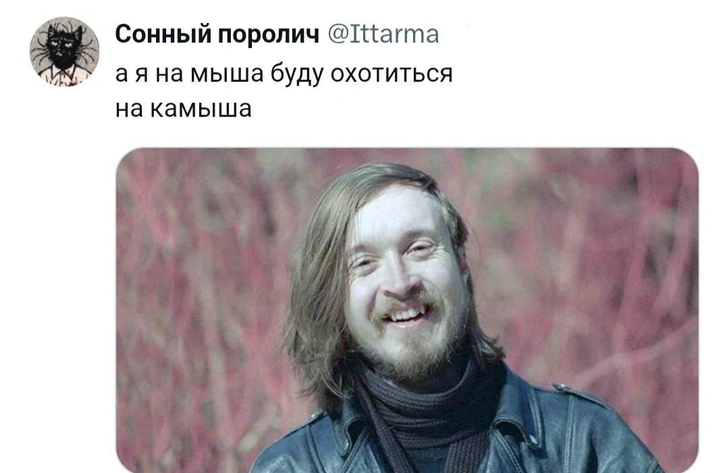 Источник: Соцсети
