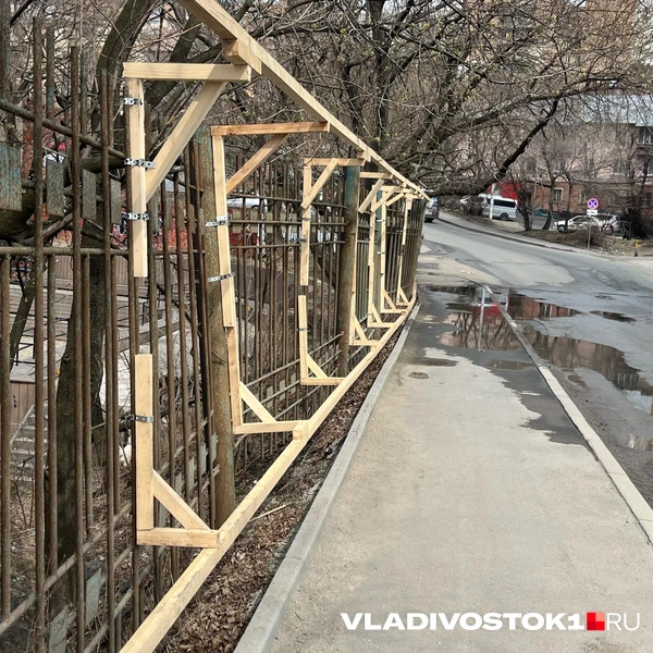 Источник: Елена Буйвол / VLADIVOSTOK1.RU