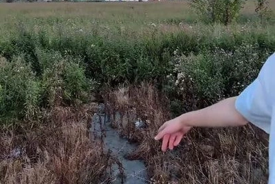 «Это вышло из попы»: житель Булгаково пожаловался на канализацию