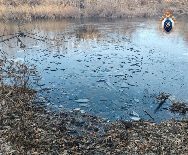 Источник: СУ СК РФ по Оренбургской области