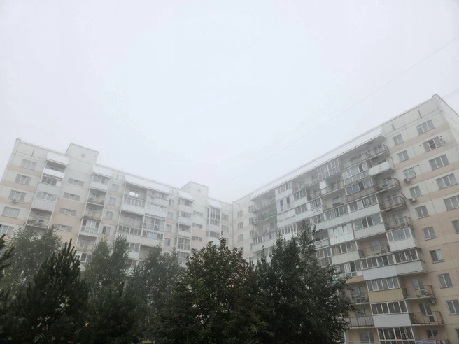 Сибирячка говорит, что туман не рассеивается со временем, а лишь становится плотнее | Источник: читатель НГС