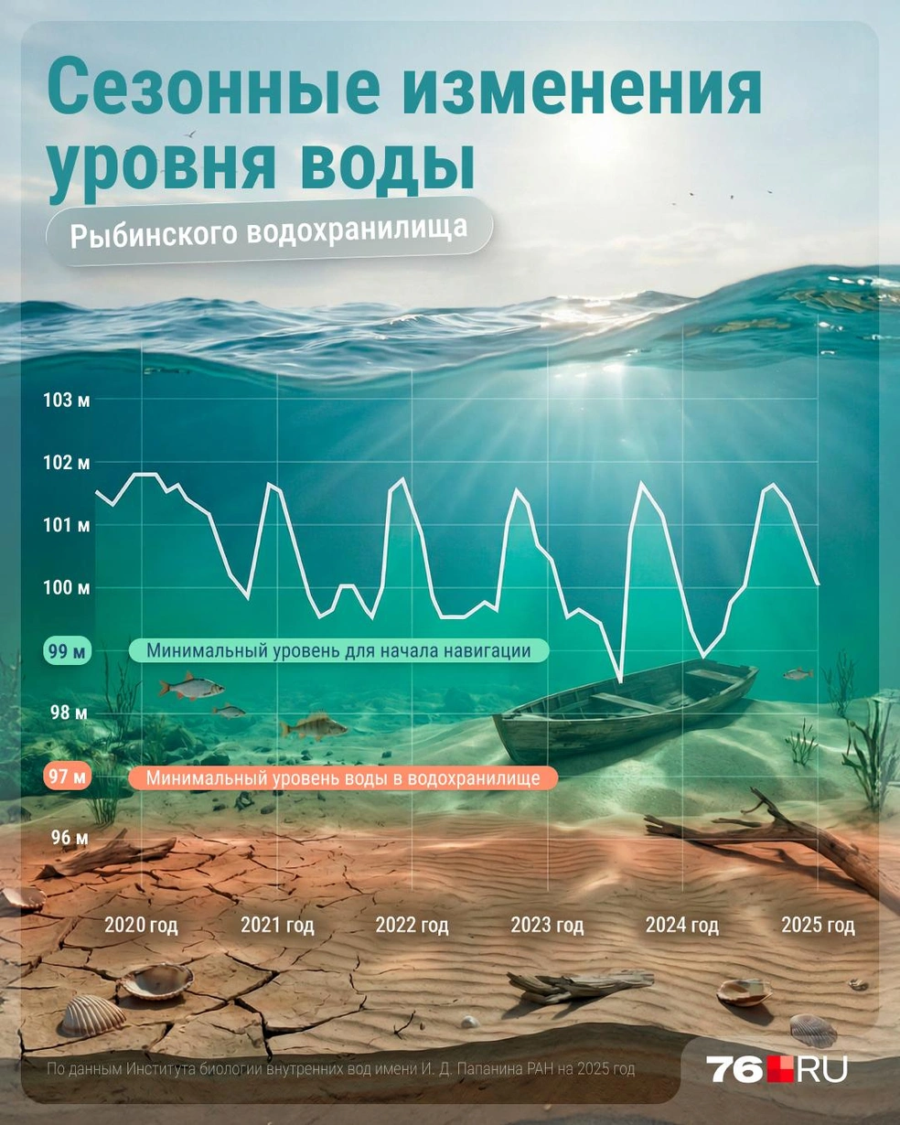 Как менялся уровень воды в Рыбинском водохранилище за последние пять лет | Источник: Серафима Пантыкина / 76.RU