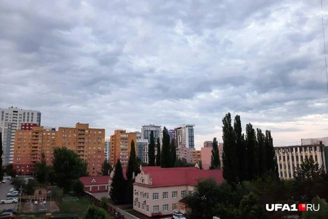 Порывы ветра будут достигать 20 м/с | Источник: Наталья Вязовкина