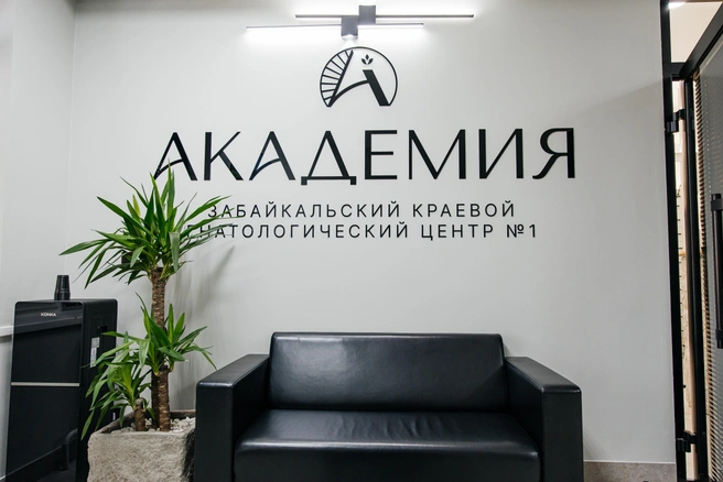 Источник: Ксения Зимина
