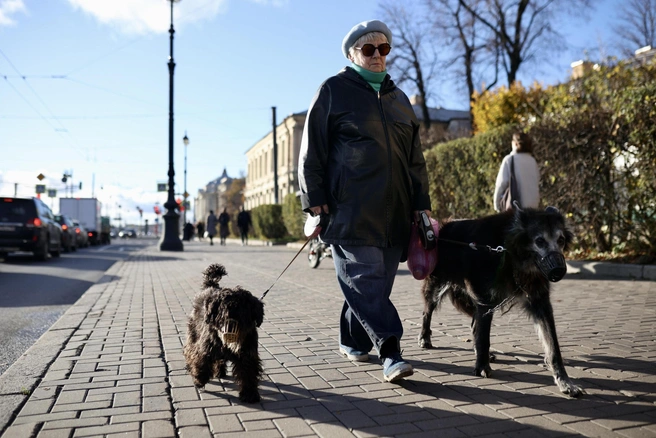 Любителям собак без прогулок не обойтись | Источник: Сергей Михайличенко / FONTANKA.RU