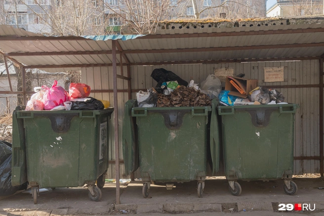 Ситуация с вывозом мусора в Воронеже ухудшилась еще во время январских снегопадов — и до сих пор не стала лучше | Источник: Иван Митюшёв / 29.RU