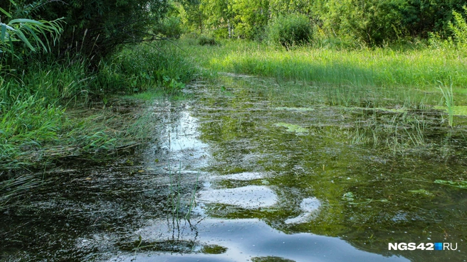 Источник: Александр Левчук / NGS42.RU