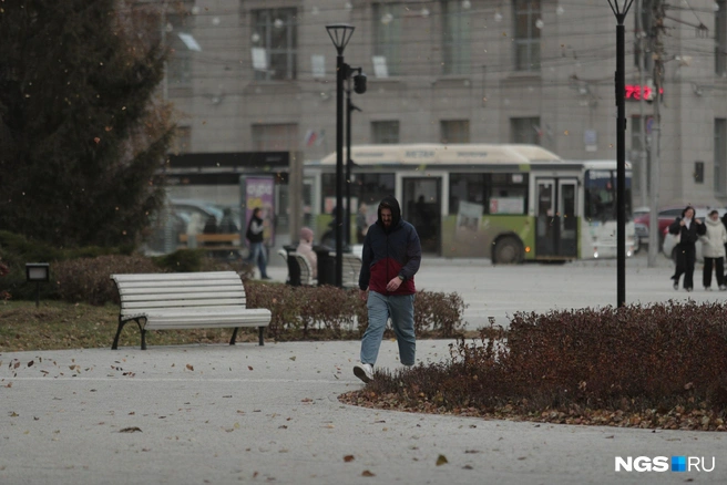 Из-за сильного ветра город накрыла пылевая буря | Источник: Андрей Бортко / NGS.RU