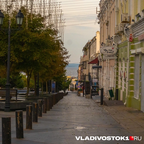 Источник: Елена Буйвол / VLADIVOSTOK1.RU
