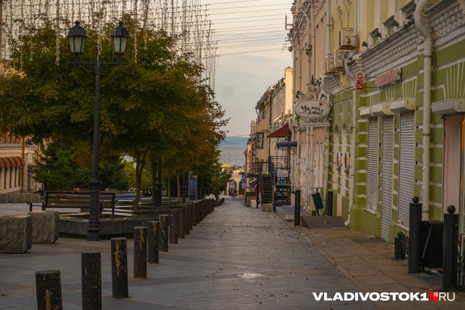 Источник: Елена Буйвол / VLADIVOSTOK1.RU