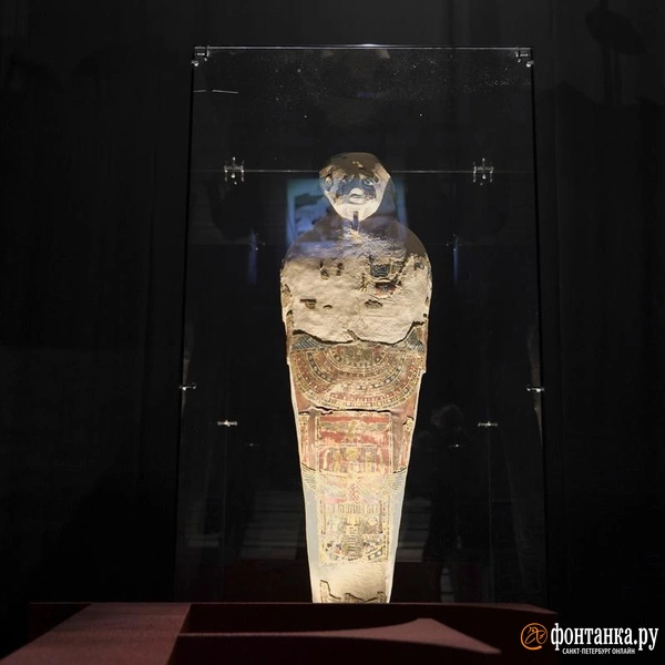 Источник: Павел Даиси / «Фонтанка.ру»