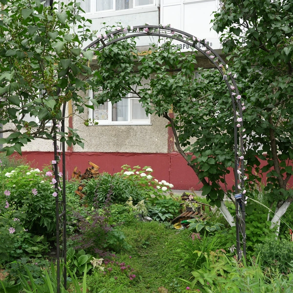 Источник: Администрация Кемерова / Роман Куреляк