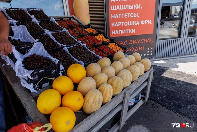 Одна из этих дынь уехала с обзора вместе с нами и попала на редакционный стол для пробы (спойлер: это просто бомба! Очень вкусная дынька) | Источник: Ирина Шарова / 72.RU