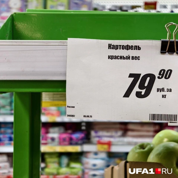 Источник: Булат Салихов / UFA1.RU