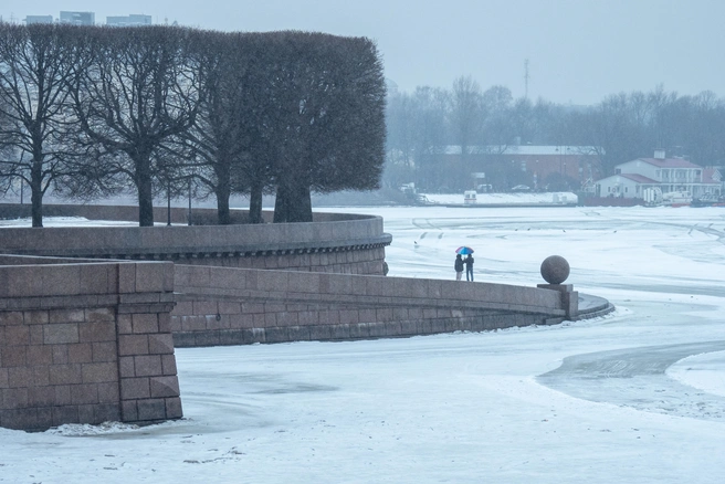 Источник: Михаил Огнев / FONTANKA.RU / архив