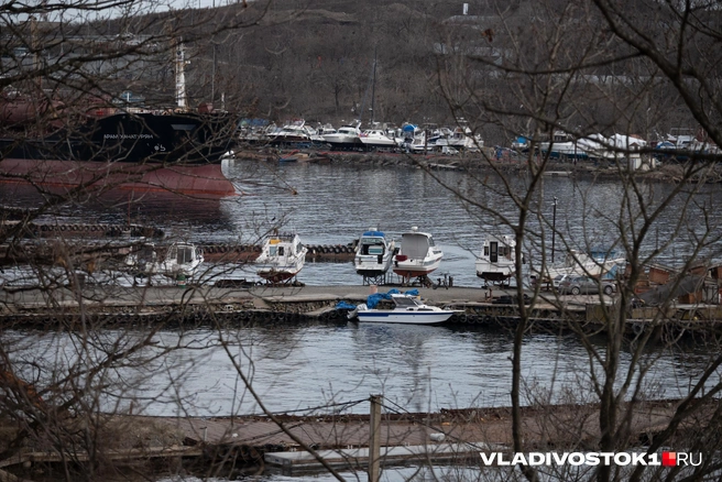 Суд начнет решать судьбу земель 23 мая | Источник: Елена Буйвол / VLADIVOSTOK1.RU