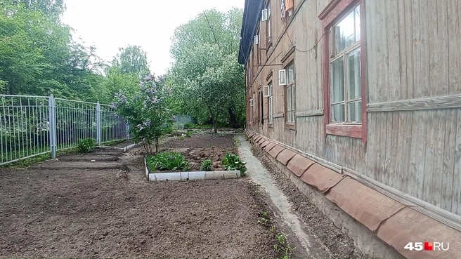 Жильцы старательно возделывают огороды как полосу отчуждения, чтобы не так бояться пожара | Источник: Анна Сарапульцева /45.RU