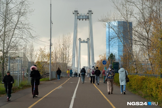 Несмотря на холод, стоит чаще гулять | Источник: Никита Шайхутдинов / NGS24.RU