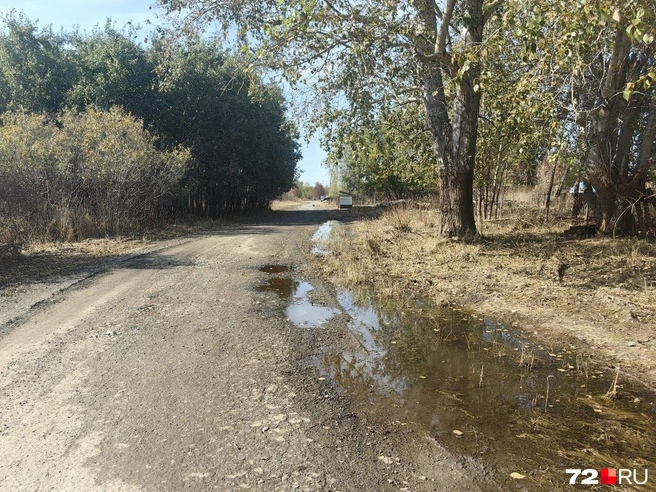 Но пройти уже можно без резиновых сапог  | Источник: Павел Красоткин / 72.RU 