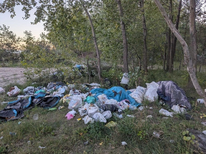 Мусором завален не только берег, но и прилегающий к нему Чемской бор | Источник: Елизавета Бражник
