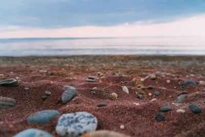 Особая экономическая зона «Берег Байкала» создана в Слюдянском районе