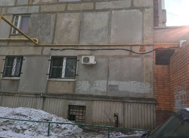 Собак, застрявших в подвале канищевской многоэтажки, вызволили | ya62.ru