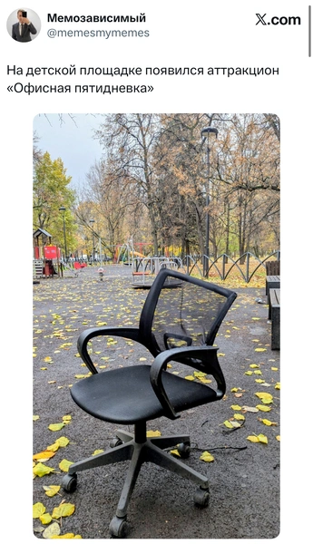 Источник: X (Twitter)