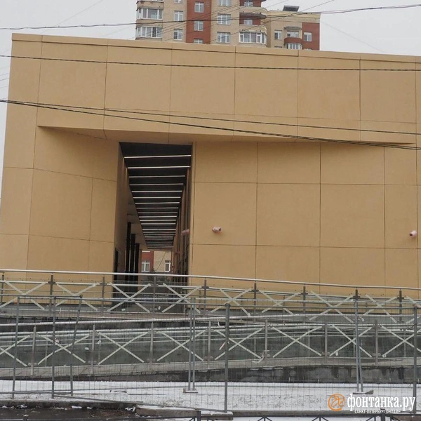 Источник: Михаил Огнев / «Фонтанка.ру»