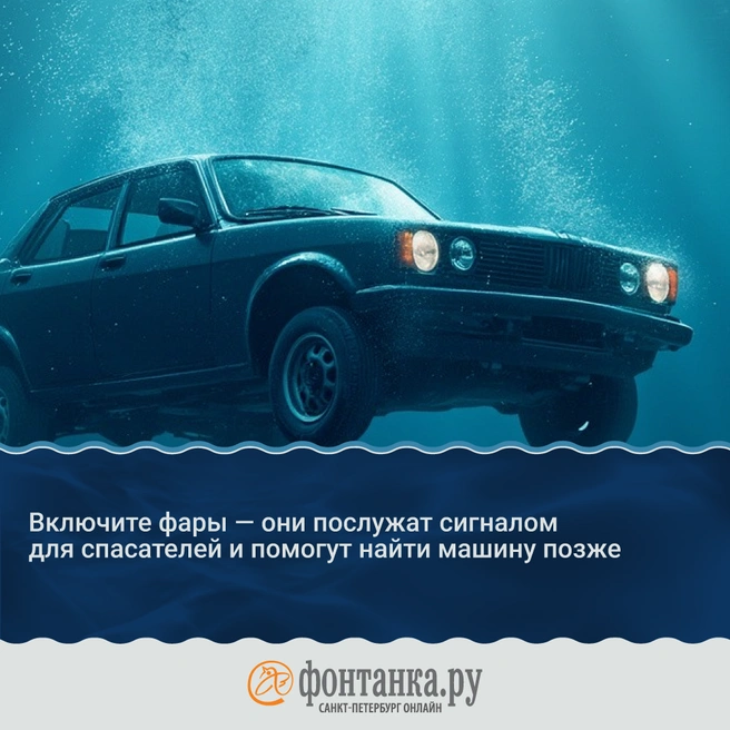 Источник: «Фонтанка.ру»