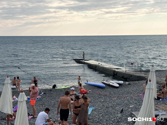 В Сочи успешно отбили атаку беспилотников | Источник: Анна Грицевич / SOCHI1.RU