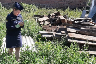 Соседи не могли поделить участок в Новосибирской области