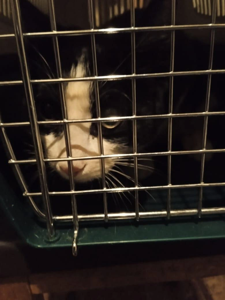 Источник: Елена Славинскене