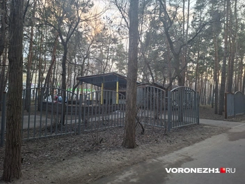 Источник: Алёна Воропаева / Voronezh1.ru