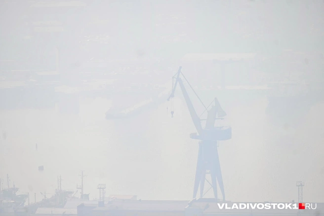 Источник: Елена Буйвол / VLADIVOSTOK1.RU