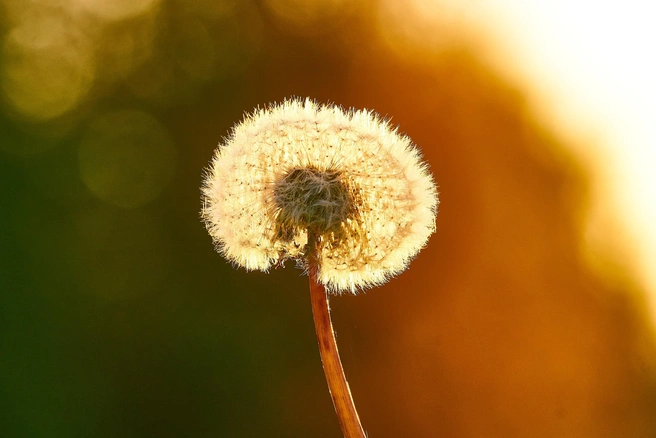 Источник: Фотограф Ирина Лаптева Ханты-Мансийск / Vk.com