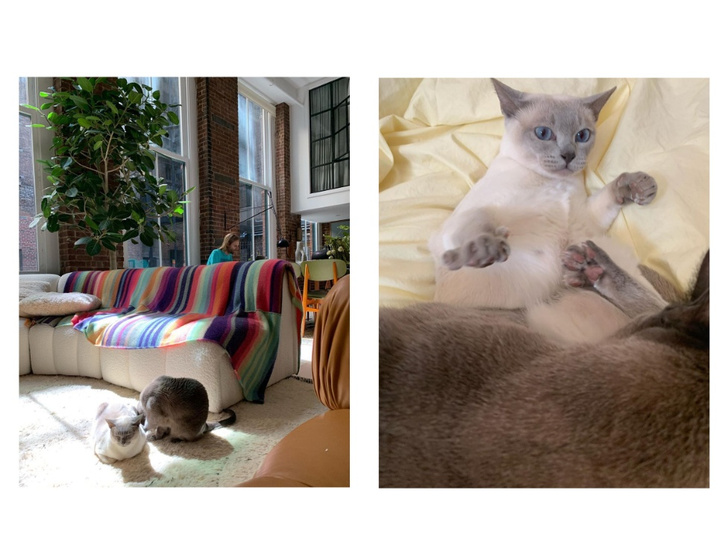 Фото №2 - Еще одна «кошка» в доме: самый уютный образ Эльзы Хоск