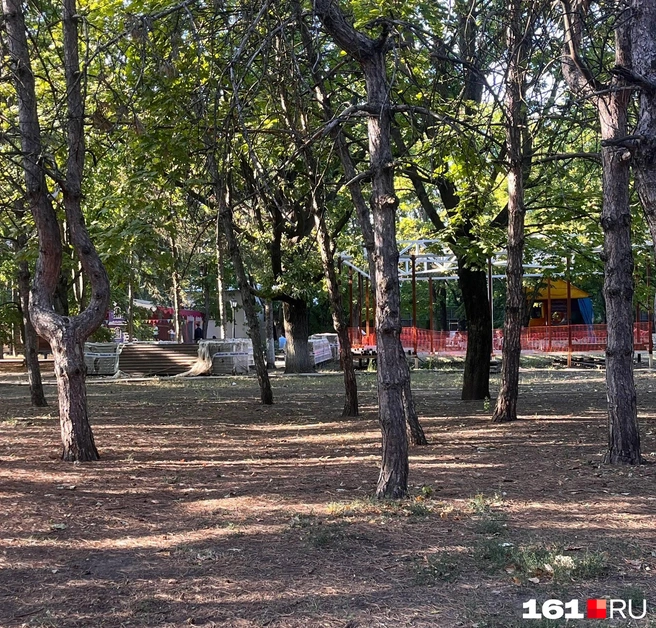 Источник: Ксения Могильницкая / 161.RU