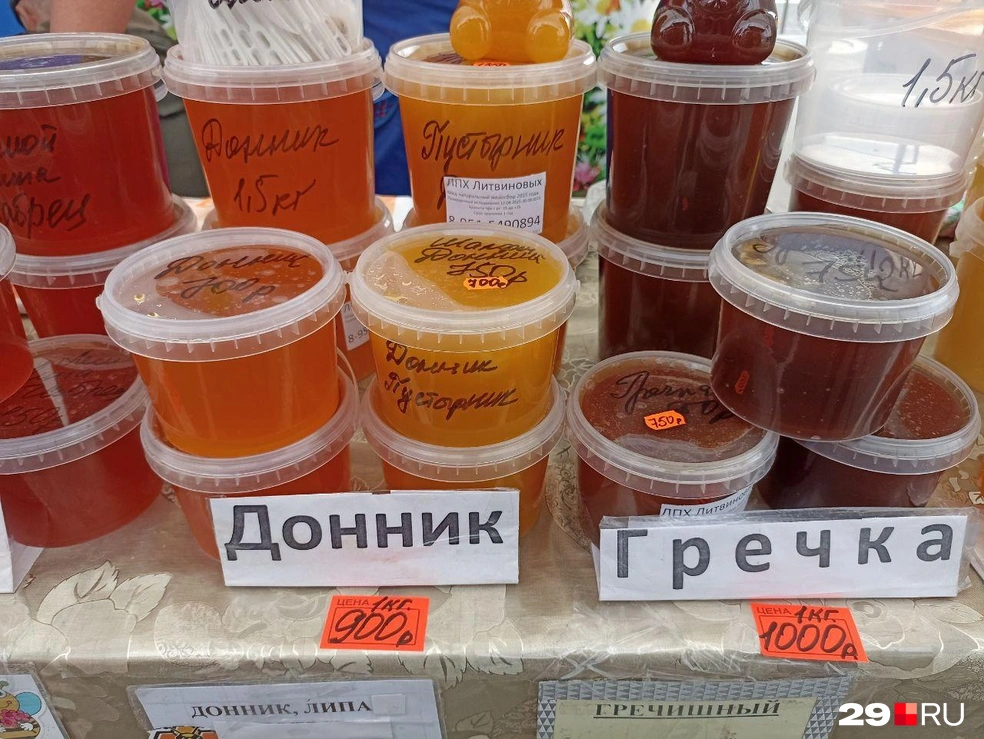 Источник: Иван Митюшёв / 29.RU