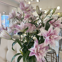 Аватарка Оленька