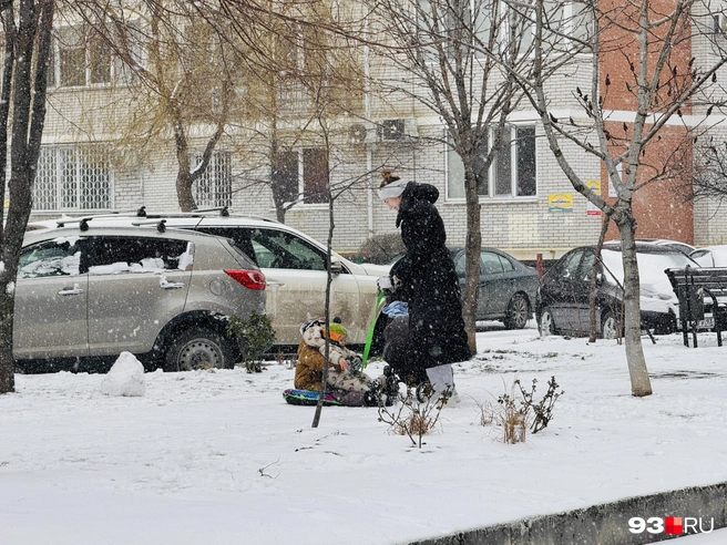 В Краснодаре сегодня солнечно, поэтому станет теплее | Источник: Дарья Паращенко / 93.RU