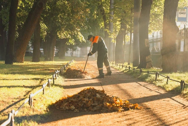 В Петербурге назвали срок, когда во дворах должны убрать опавшие листья | Источник: Комитет по благоустройству