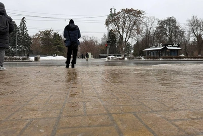 Гололед и ветер в Ростовской области: штормовое предупреждение