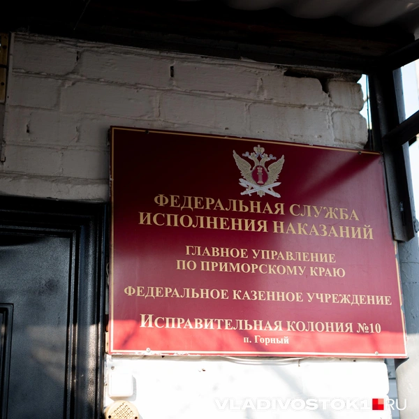 Источник: Елена Буйвол / VLADIVOSTOK1.RU