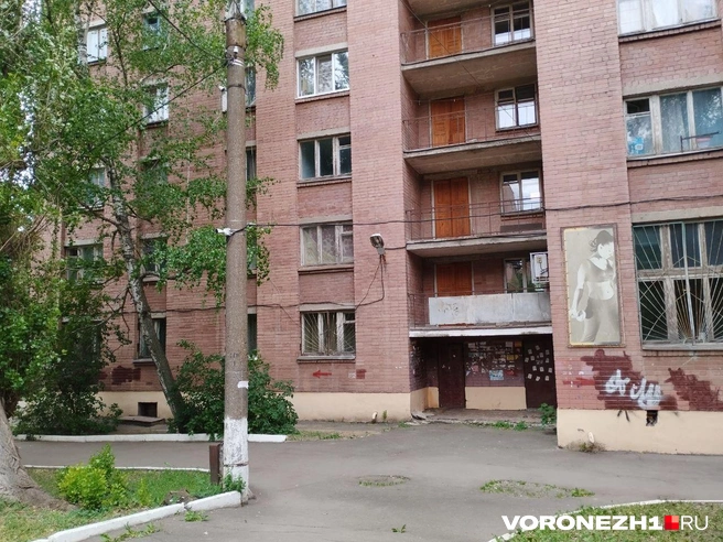 Источник: Дмитрий Волгин / Voronezh1.ru