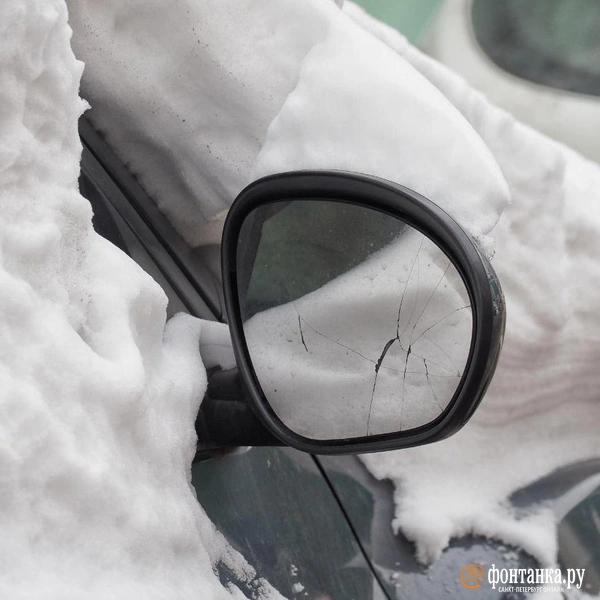 Источник: Михаил Огнев / FONTANKA.RU